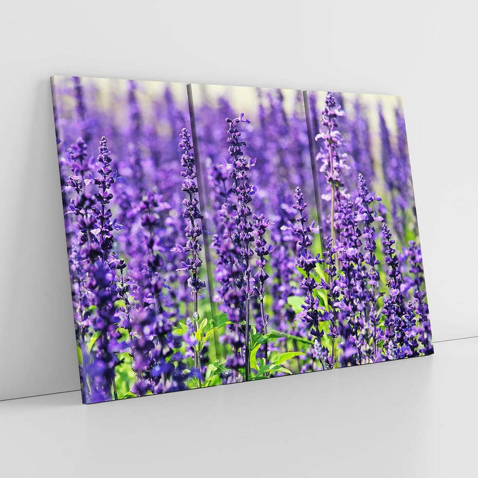 Obraz na płótnie 120x80 - Lawendowa Mgła - lawenda, kwiat