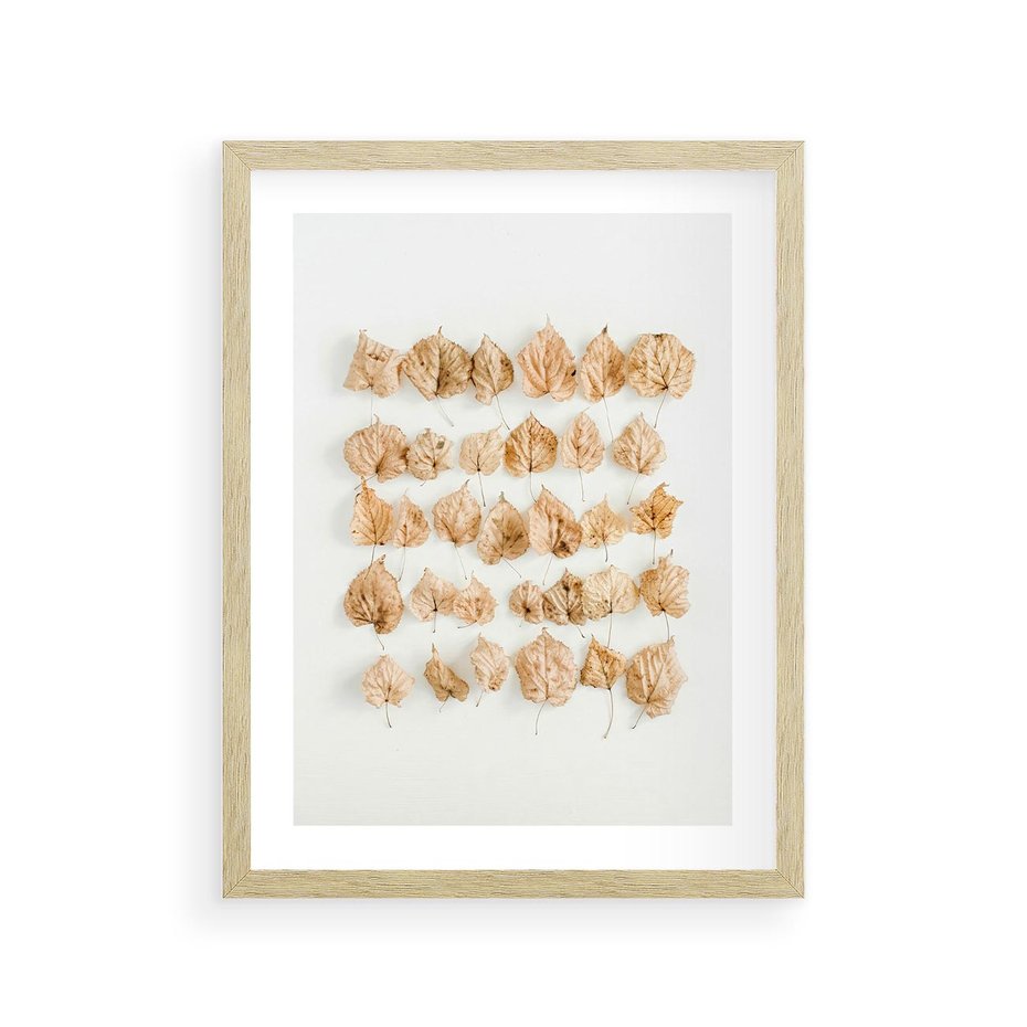 Plakat w ramie 30x40 - Liście Złotego Sezonu - kompozycja z suchych żółtych liści - rama drewno