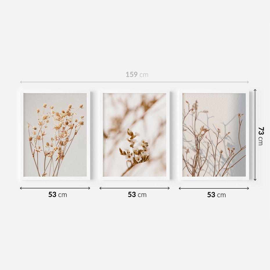 Zestaw obrazy w ramie 50x70 galeria - Suche, kwiaty, boho, trawy - rama biała