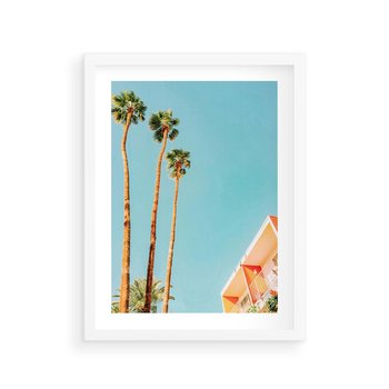 Plakat w ramie 50x70 - Letnie Marzenia - palmy, na tle nieba - rama biała