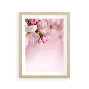 Plakat w ramie 50x70 - Kwitnąca wiśnia: delikatność natury - kwitnąca, wiśnia - rama drewno