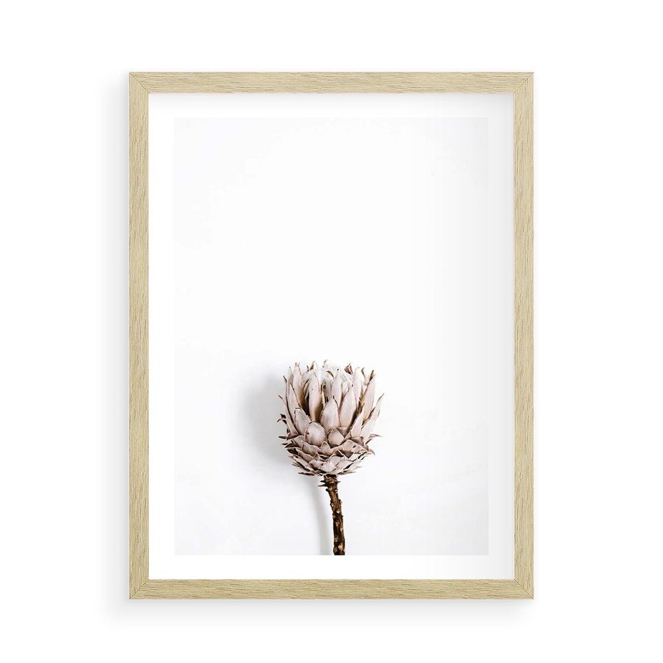 Plakat w ramie 50x70 - Suszona Roślina na Białym Tle - minimalizm, suszona roślina - rama drewno