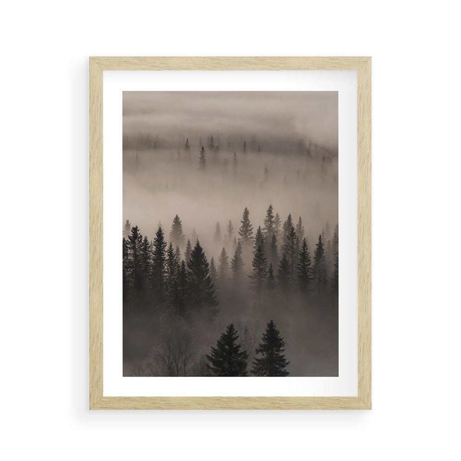 Plakat w ramie 40x50 - Mglista Opowieść Lasu - las, mgła - rama drewno