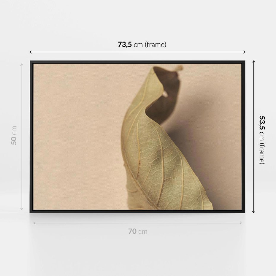 Obraz w ramie 70x50 - Boho suszone liście - suszony, liść - rama czarna