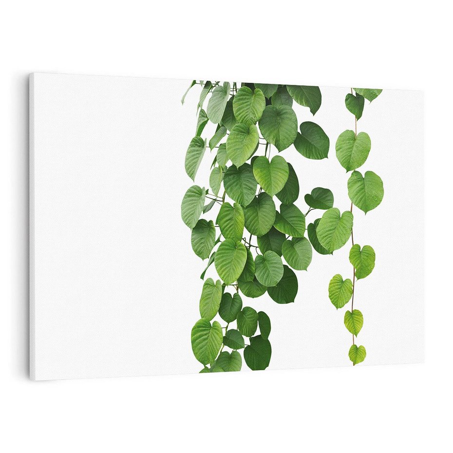 Obraz na płótnie 100x70 - Świeżość Natury - liście, zielone