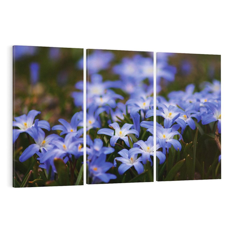 Obraz na płótnie 120x80 - Kwiatowy raj w naturze - kwiat, kwiaty