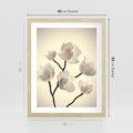 Plakat w ramie 40x50 - Elegancja Natury - magnolia, białe - rama drewno