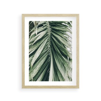 Plakat w ramie 30x40 - Spokojna Piękność Palmowych Liści - palma, liście palmy - rama drewno