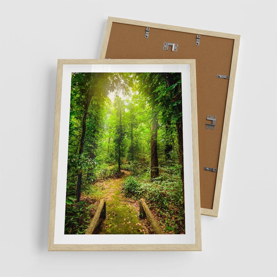 Plakat w ramie 50x70 - Współistnienie z naturą - drzewa, las - rama drewno
