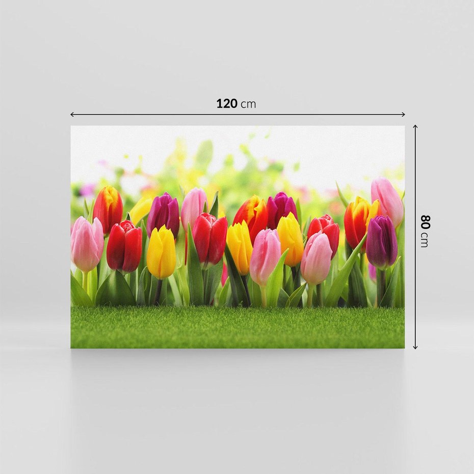 Obraz na płótnie 120x80 - delikatność kwiatowego świata - tulipany, kwiaty