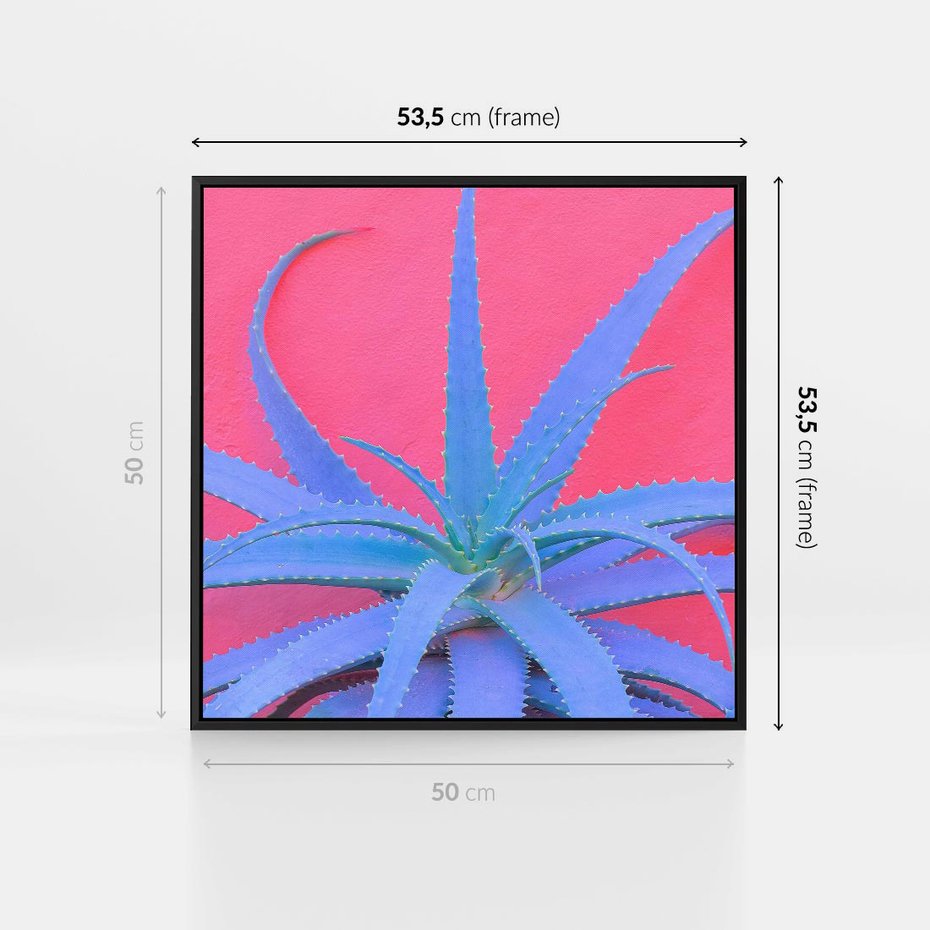 Obraz w ramie 50x50 - Piękno Pustyni - kaktusy, liście - rama czarna