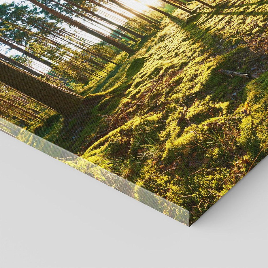 Obraz na płótnie 40x40 - Obfitość natury - las, drzewa