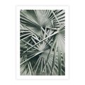 Plakat bez ramy 50x70 - Palmy w Zgaszonej Zieleni - palmy, tropikalne liście
