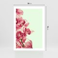 Plakat bez ramy 50x70 - Orchidea - delikatne kwiaty - orchidea, kwiaty
