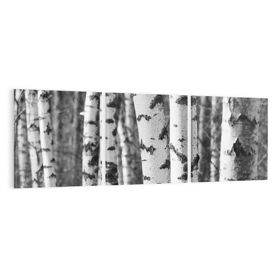 Obraz na płótnie 90x30 - Kontrast Monochromatyczny - brzozy, czarno