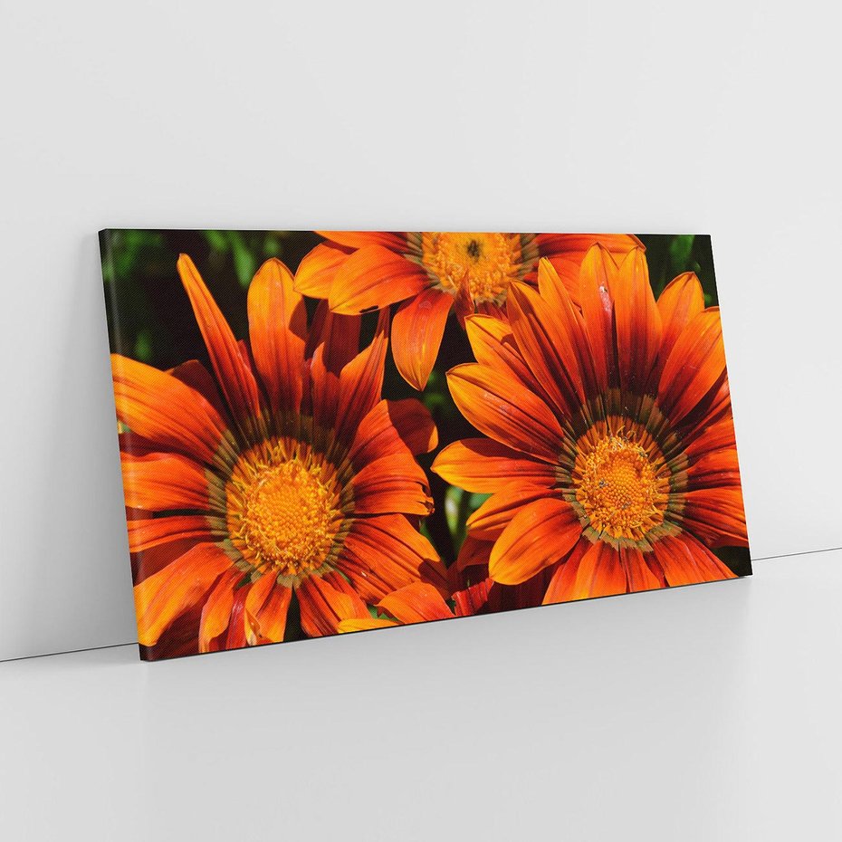 Obraz na płótnie 140x70 - Kwiatowa Esencja - kwiat, kwiaty