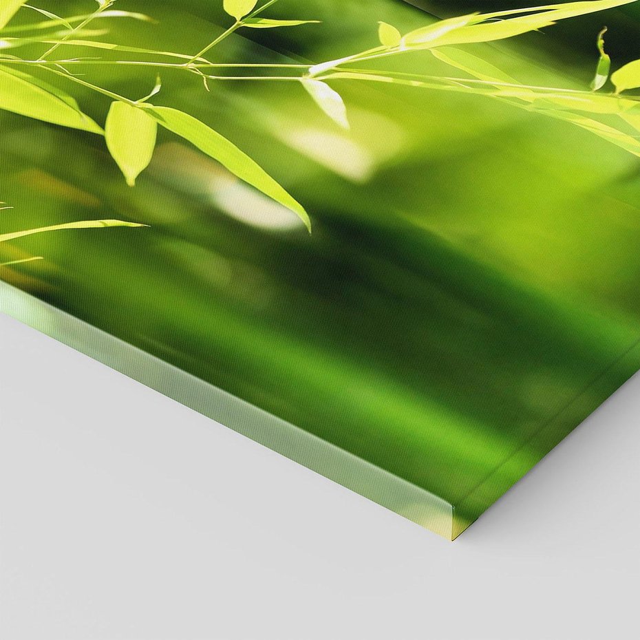 Obraz na płótnie 50x70 - Spokój bambusowego lasu SPA - bambus, drzewa