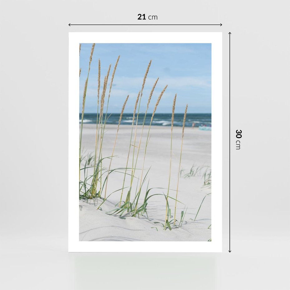 Plakat bez ramy 21x30 - Przytulna Śródziemnomorska Trawa - plaża, trawy