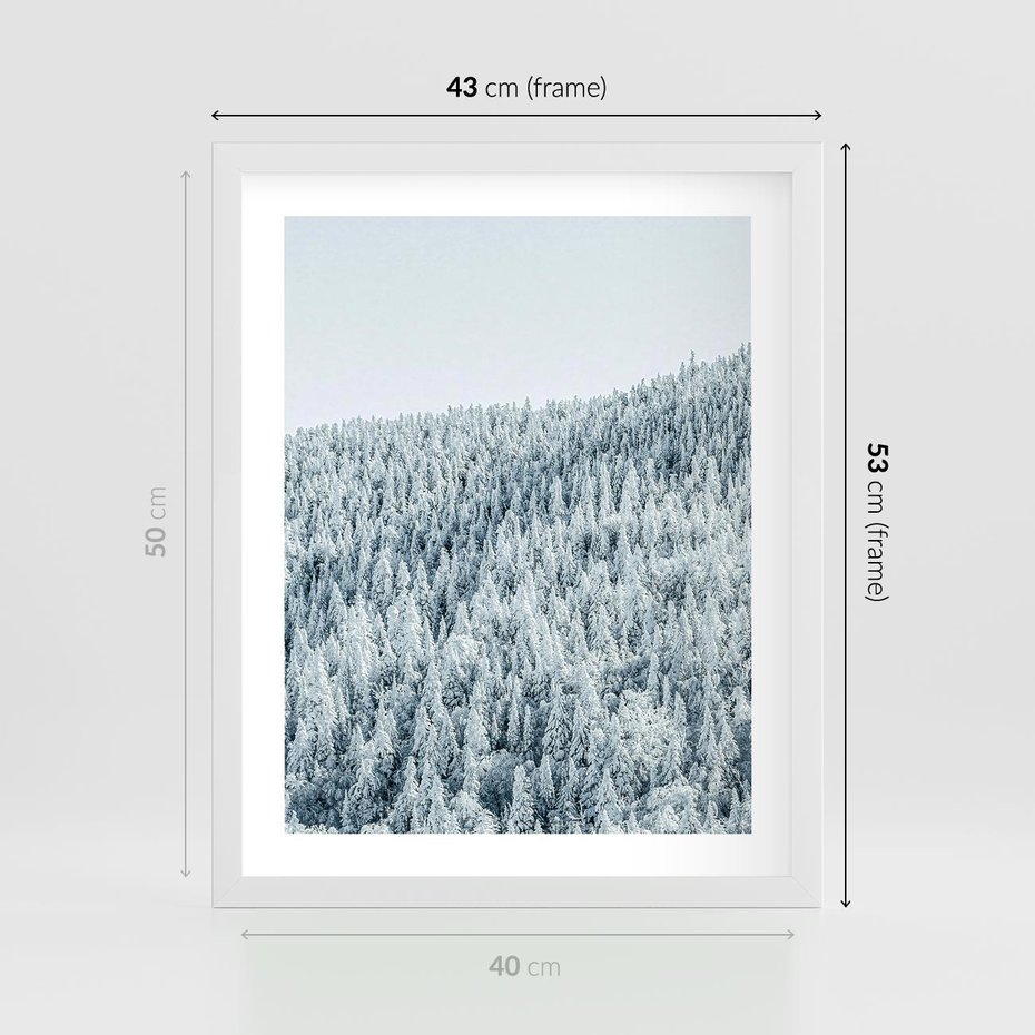 Plakat w ramie 40x50 - Cicha Zima - las, zima - rama biała
