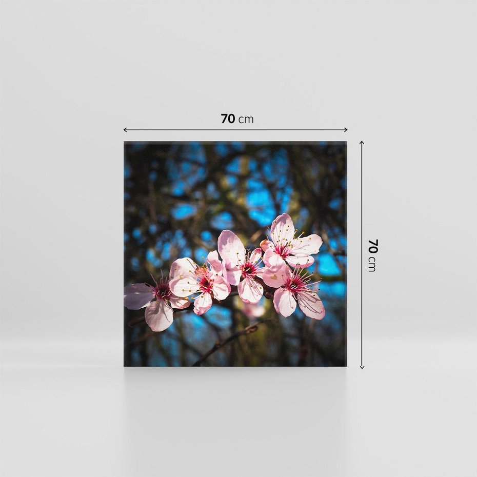 Obraz na płótnie 70x70 - Kwiatowe piękno w pełnym rozkwicie - kwiat, kwiaty