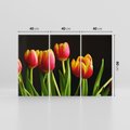 Obraz na płótnie 120x80 - Tulipany w przyrodzie: harmonia kształtów - tulipany, kiwaty