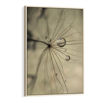 Obraz w ramie 80x120 - Delikatność dmuchawców - dmuchawce, krople - rama drewno
