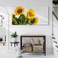 Obraz na płótnie 120x60 - Słoneczna Radość - fotografia, żółte słoneczniki