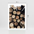 Plakat bez ramy 21x30 - Siła Drewna - ścięte drewno, belki drewna ułożone jedna na drugiej