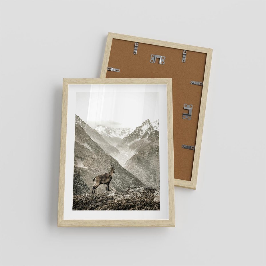 Plakat w ramie 30x40 - Dzikie Piękno: Kozica w Malowniczym Górskim Scenerii - kozica, góry - rama drewno
