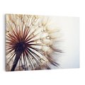 Obraz na płótnie 100x70 - Makro piękno dmuchawca - makro, dmuchawiec