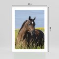Plakat bez ramy 40x50 - Siła i piękno natury - koń, łąka