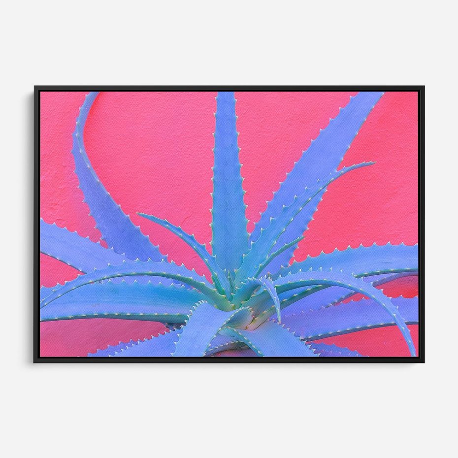 Obraz w ramie 70x50 - Piękno Pustyni - kaktusy, liście - rama czarna