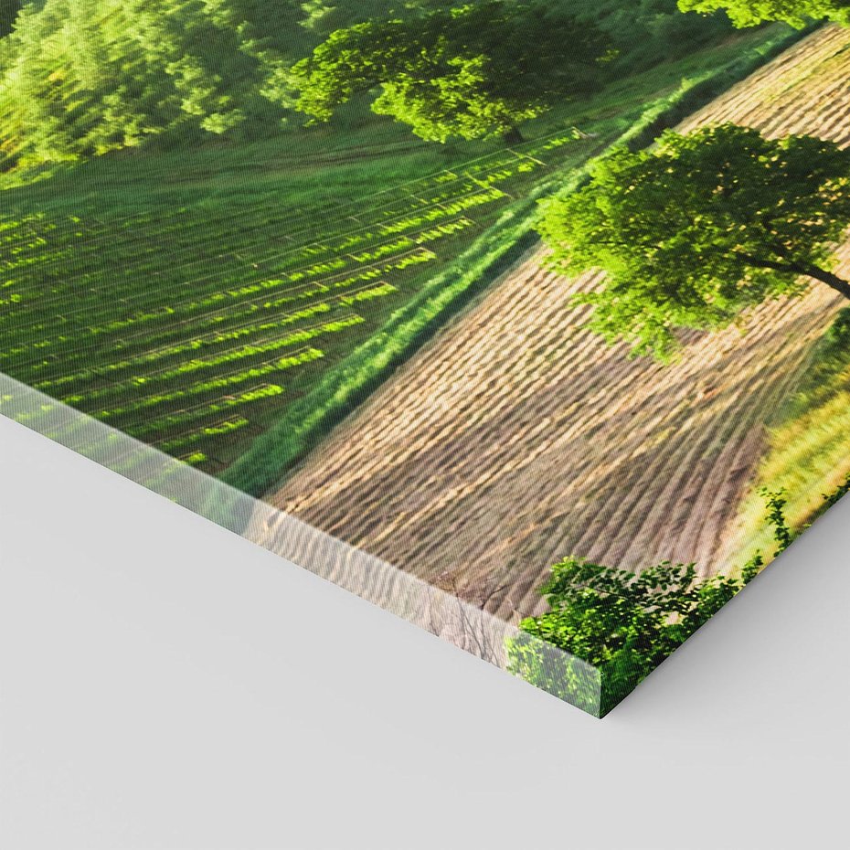 Obraz na płótnie 80x120 - Prowansja: malownicze winnice w kraju Włoch - Prowansja, Włochy