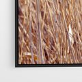 Obraz w ramie 50x70 - Mistrzowskie suche trawy - suche, trawy - rama czarna
