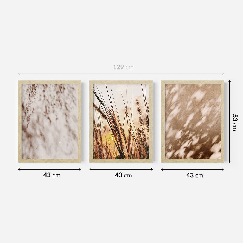 Zestaw obrazy w ramie 40x50 galeria - Trawy, zachód, słońca, cienie - rama drewno