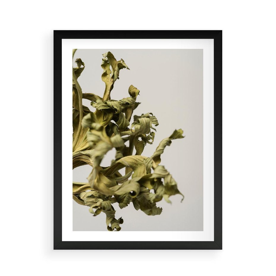 Plakat w ramie 50x70 - Odejście pory deszczowej - suche, trawy - rama czarna