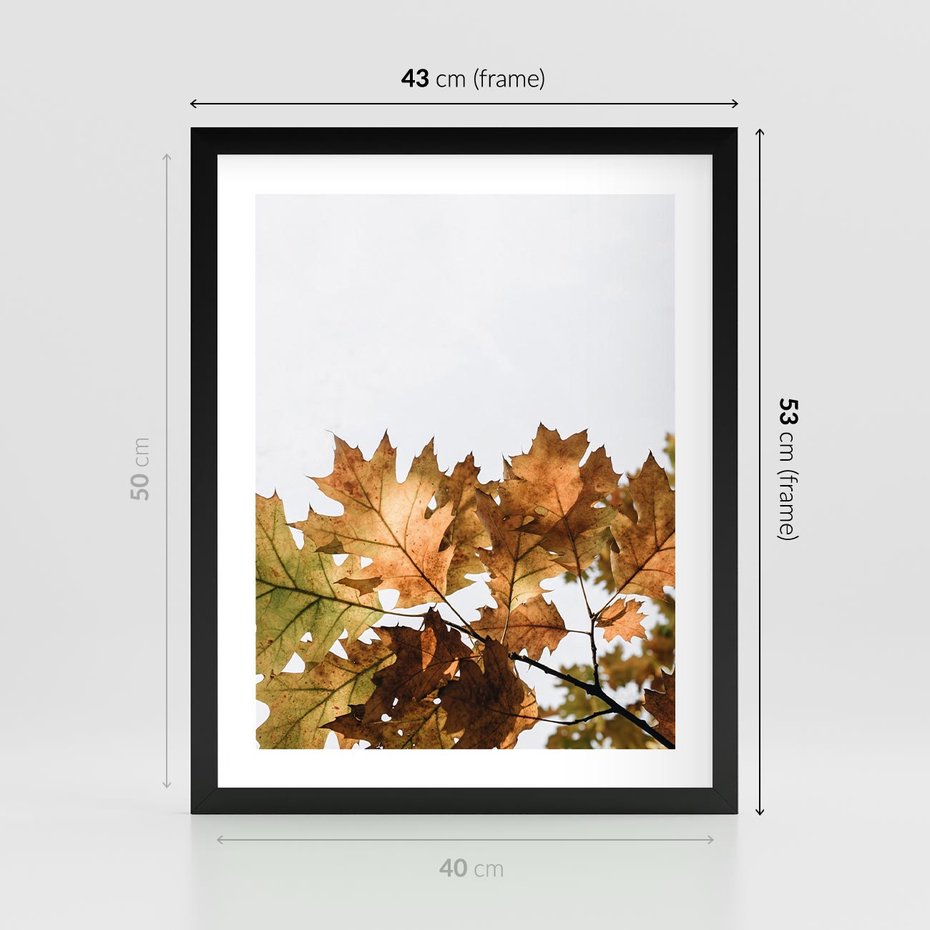 Plakat w ramie 40x50 - Suche Żółte Liście w Malowniczym Ujęciu - liście, żółte - rama czarna