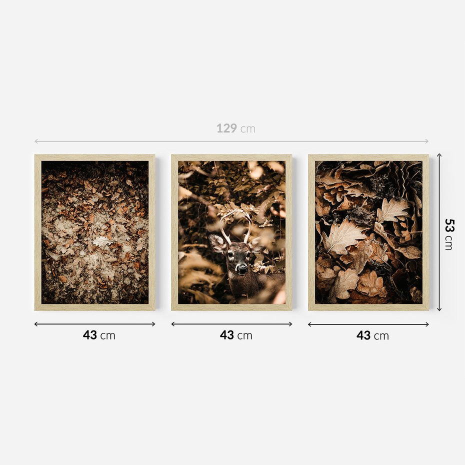 Zestaw obrazy w ramie 40x50 galeria - Las, jesień, jeleń - rama drewno