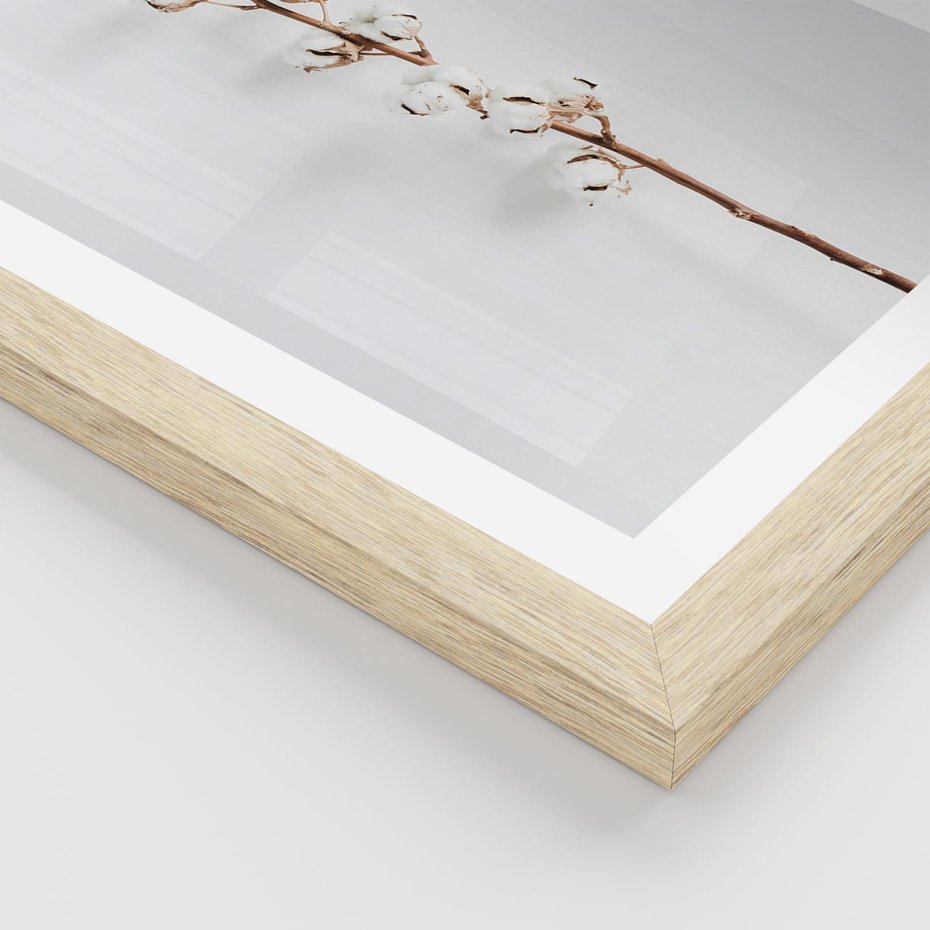 Plakat w ramie 50x70 - Minimalistyczna Gałązka Bawełny - bawełna, gałązka bawełny - rama drewno