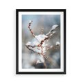 Plakat w ramie 50x70 - Zimowy Urok Natury - gałązki pod śniegiem, natura - rama czarna