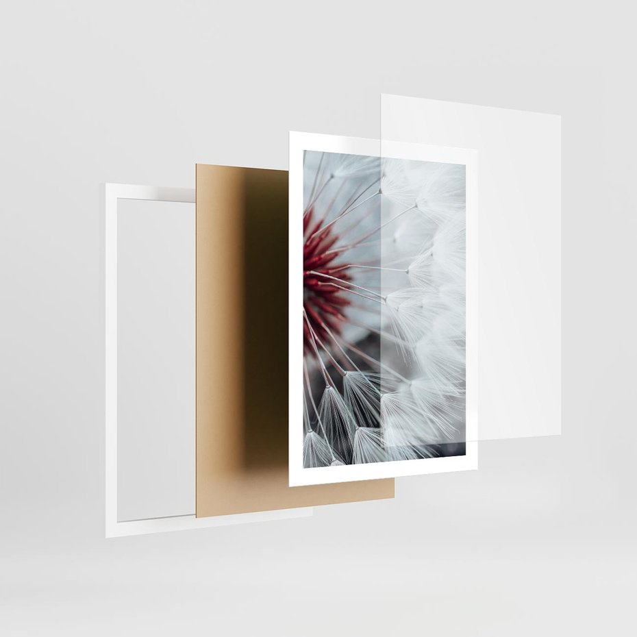 Plakat w ramie 50x70 - Makro świat dmuchawca - dmuchawiec, makro - rama biała