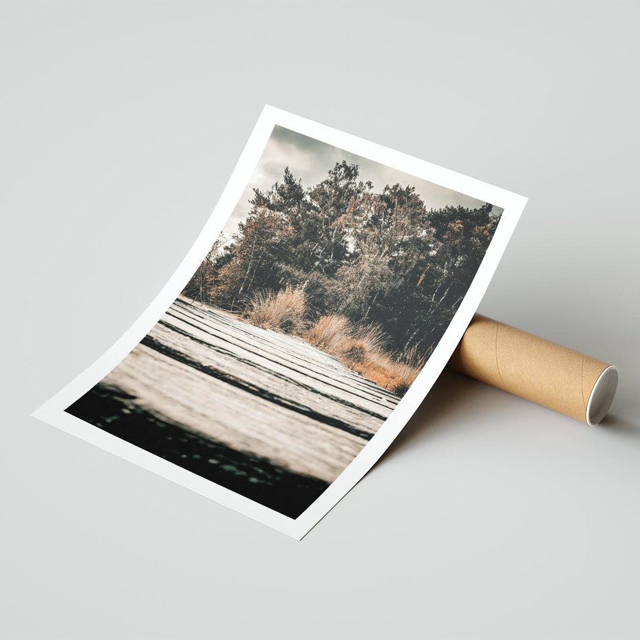 Plakat bez ramy 21x30 - Fotografia w Ciepłych Barwach - odcienie brązu, fotografia