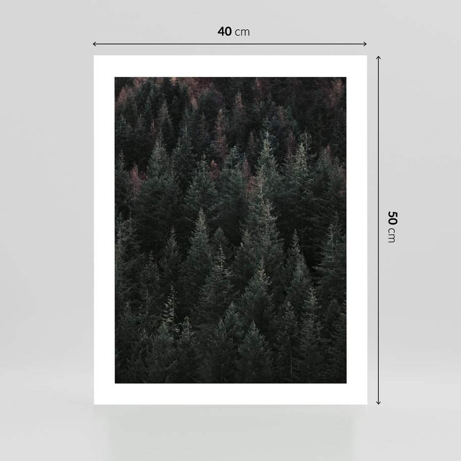 Plakat bez ramy 40x50 - Wysoko nad Iglastym Lasem - las, perspektywa