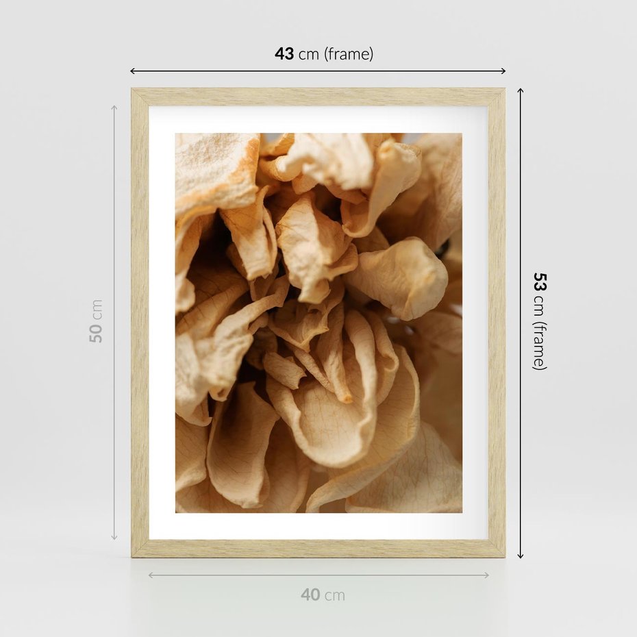 Plakat w ramie 40x50 - Zjawiskowe zasuszone kwiaty - zasuszone, kwiaty - rama drewno