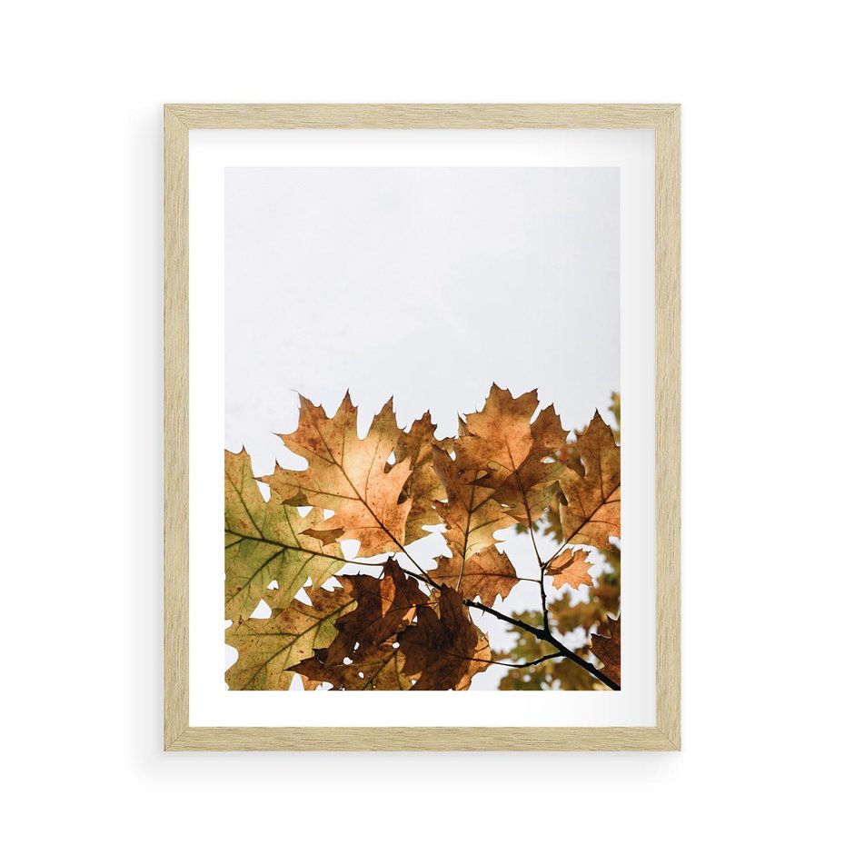 Plakat w ramie 40x50 - Suche Żółte Liście w Malowniczym Ujęciu - liście, żółte - rama drewno