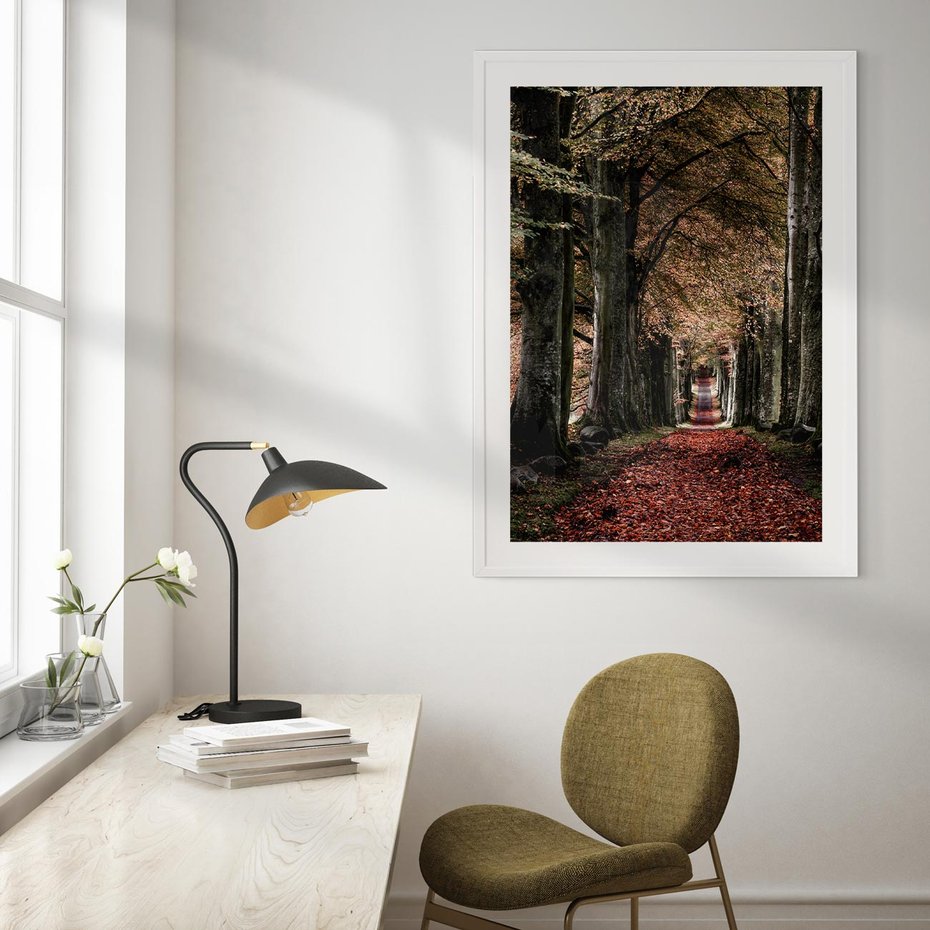 Plakat w ramie 50x70 - Spacer po Leśnej Drodze - ścieżka w lesie, jesień suche liście - rama biała