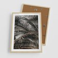 Plakat w ramie 50x70 - Liściaste Palmy - palmy, drzewa palmowe - rama drewno