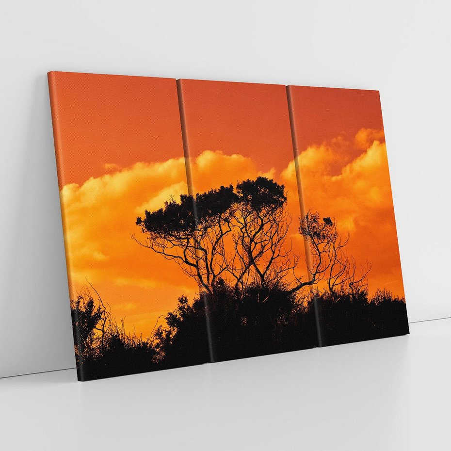 Obraz na płótnie 120x80 - Magiczne Drzewa na Tle Rozległej Sawanny - drzewa, sawanna