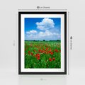 Plakat w ramie 30x40 - Kolorowa łąka pełna maku - łąka, maki - rama czarna