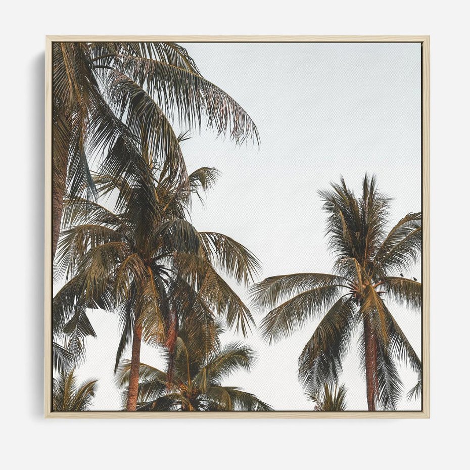 Obraz w ramie 50x50 - Palmy - tęsknota za Hawajami - palmy, Hawaje - rama drewno